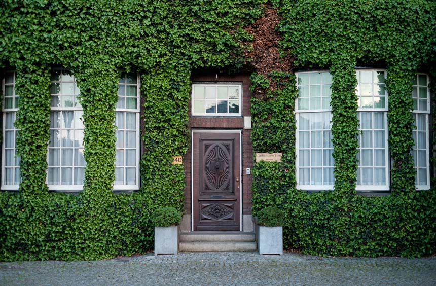 An external facade of a building where greenery has covered it all.
