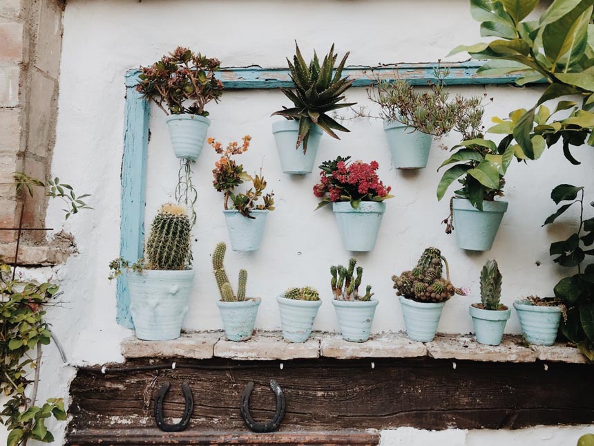 Planters embedded vertically up a wall.