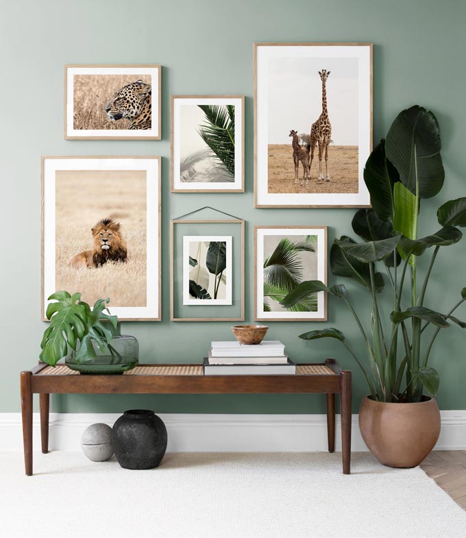 Six art prints composing an art gallery with a nature's theme styled against a green wall with planters and a bench for that organic vibe. Image via Desenio.