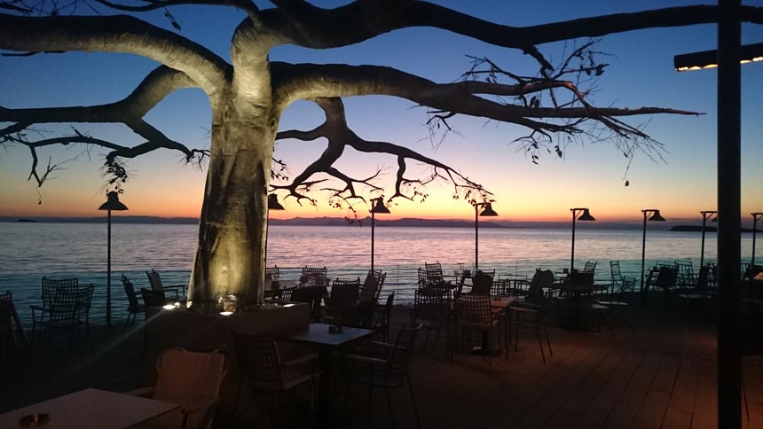 An artificial tree acting as a decor at an outdoor space of a coffee house by the seaside just after sunset. Image by Velvet.