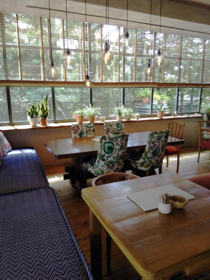 Inside a cozy cafe house with Venetian blinds over the large windows and blue chevron pattern seating.