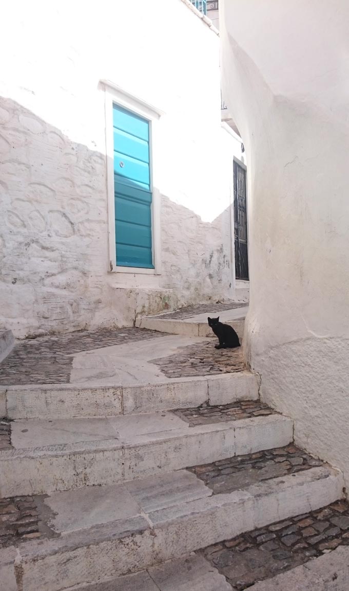 A black cat in a alley between white washed houses in Ano Syros. Image by Velvet.