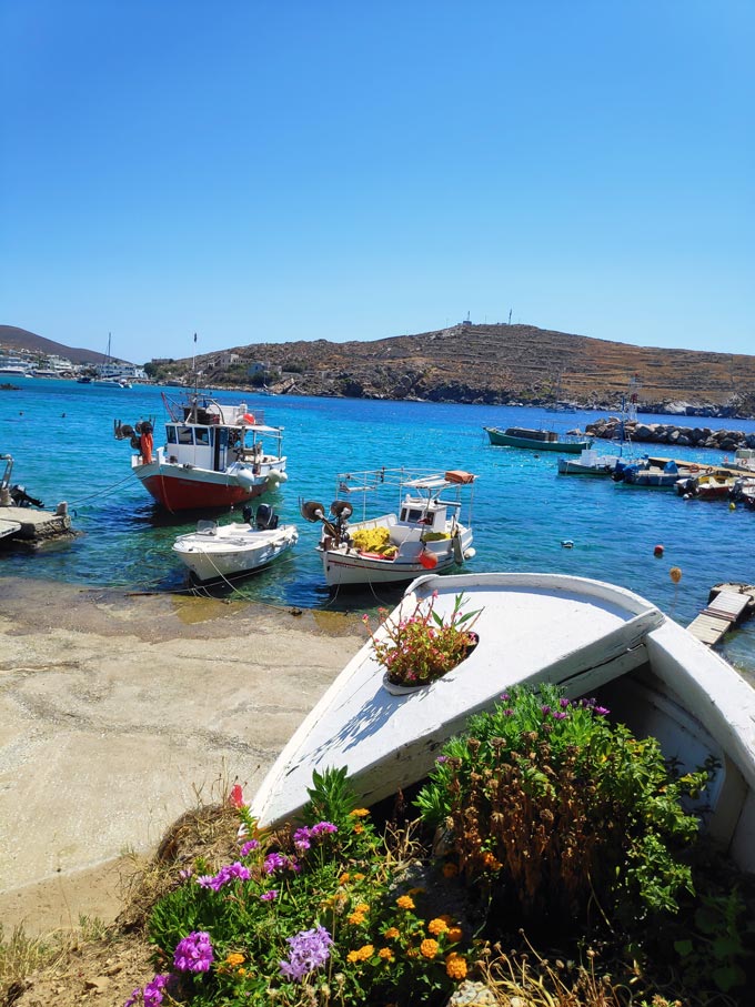 An old white boat has been placed ashore and turned into a huge planter. In the background fishing boats are moored by the little marina. Image by Velvet.