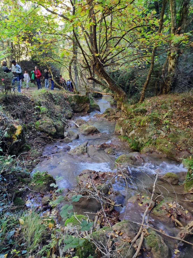 A small stream inside the woods, with people walking by a trail. Image by Velvet.