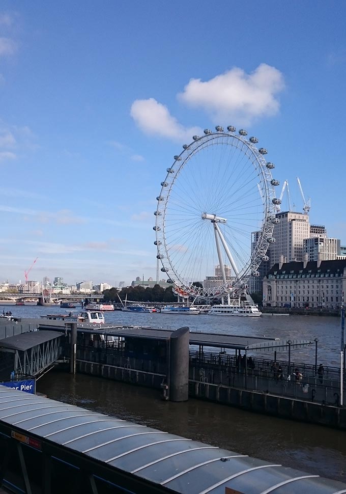 View of London's eye from across the Thames river bank.