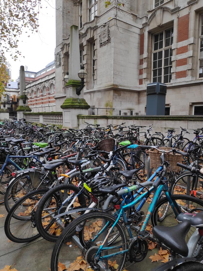 Bikes parked at a University campus.