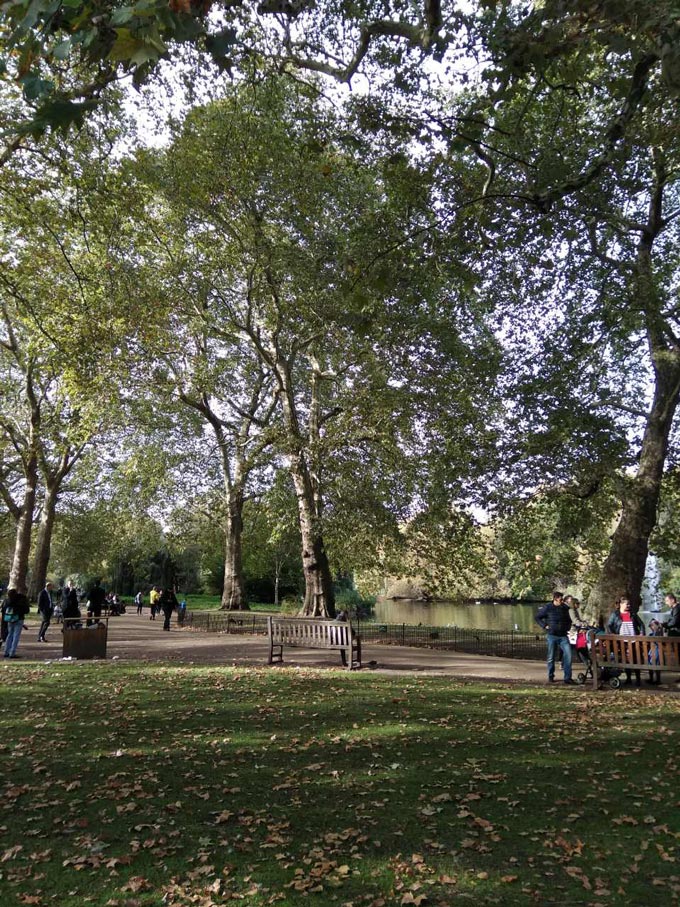 While walking down St. James park in London.