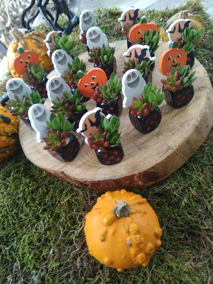 Tiny plants with a goblin or a pumpkin sticking out behind the plant used as Halloween decor, made by a florist.