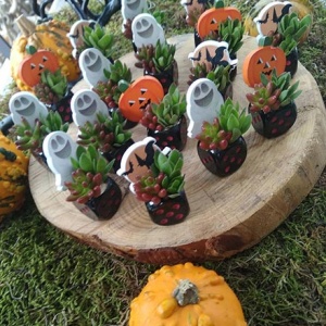 Tiny plants with a goblin or a pumpkin sticking out behind the plant used as Halloween decor, made by a florist.