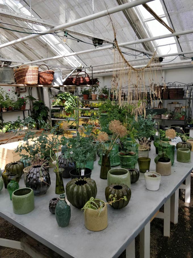 A greenhouse with an array of planters on a working bench. 