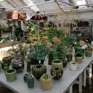 A greenhouse with an array of planters on a working bench.