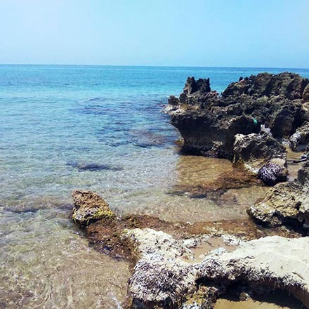 A rocky shoreline on a Greek island.