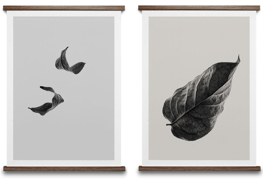 Two black and white images of drifting leaves. Images by Nest.co.uk.