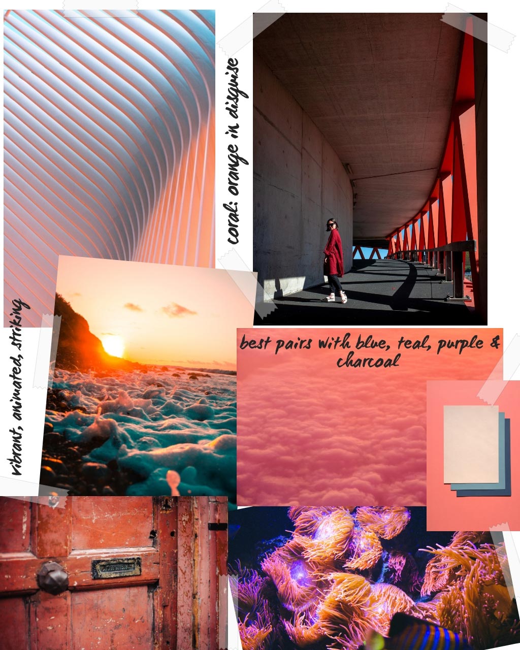 A collage of images inspired by Pantone's announcement of Living Coral as the Color of the Year 2019.