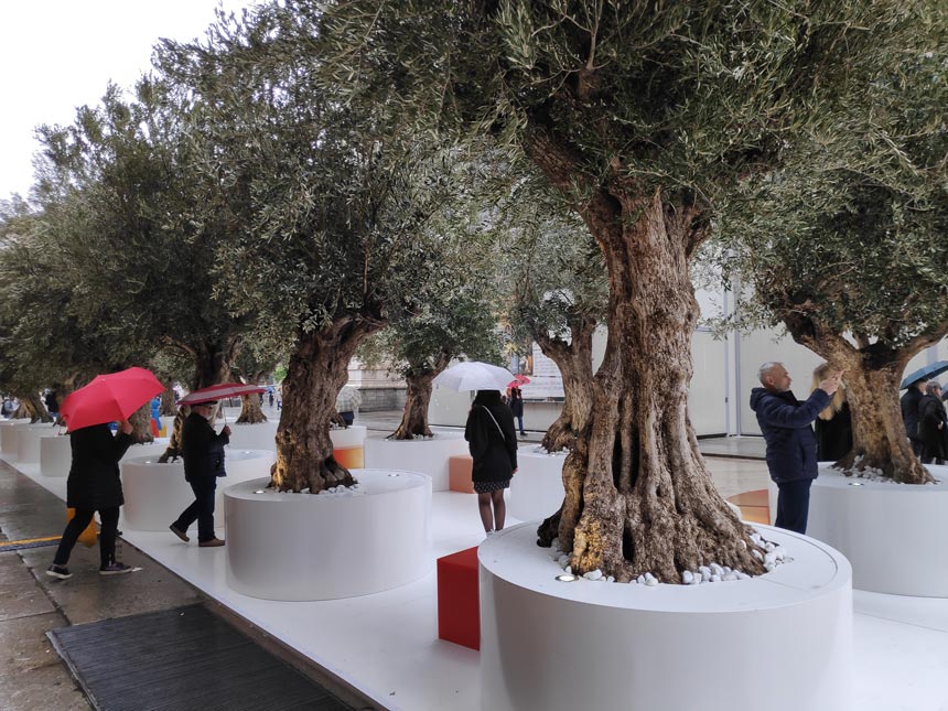 An installation by the Duomo in Milan during the Design Week with a "Boulevard" of olive trees.