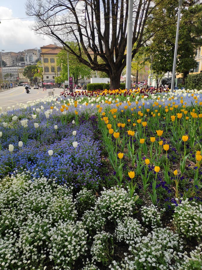 A beautiful array of colorful flowers in beds on a little square in the Old Town of Lugano.