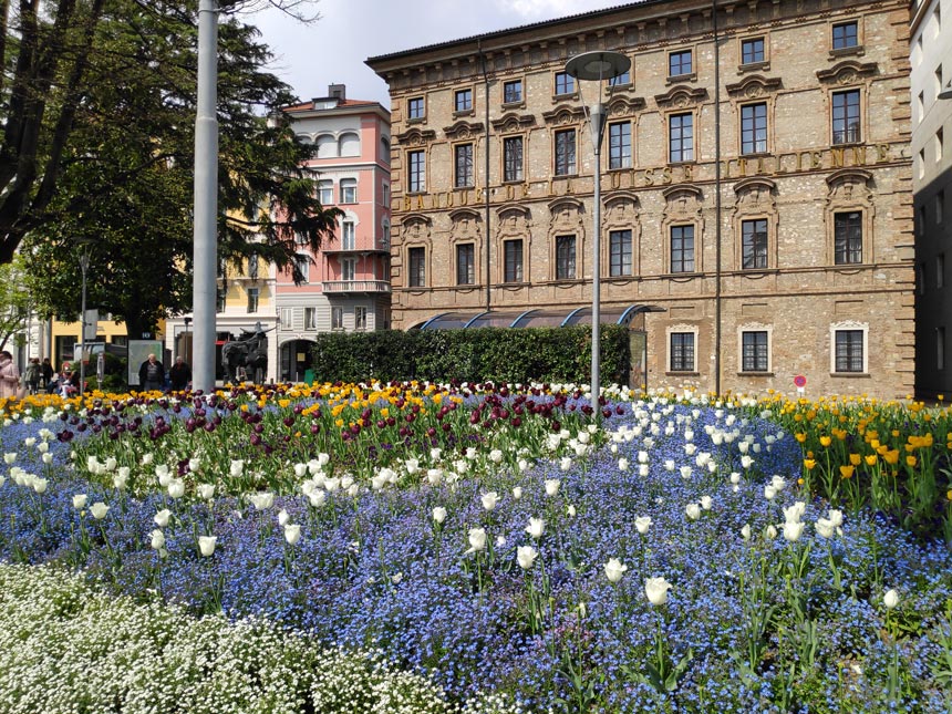 A beautiful array of colorful flowers in beds on a little square in the Old Town of Lugano.