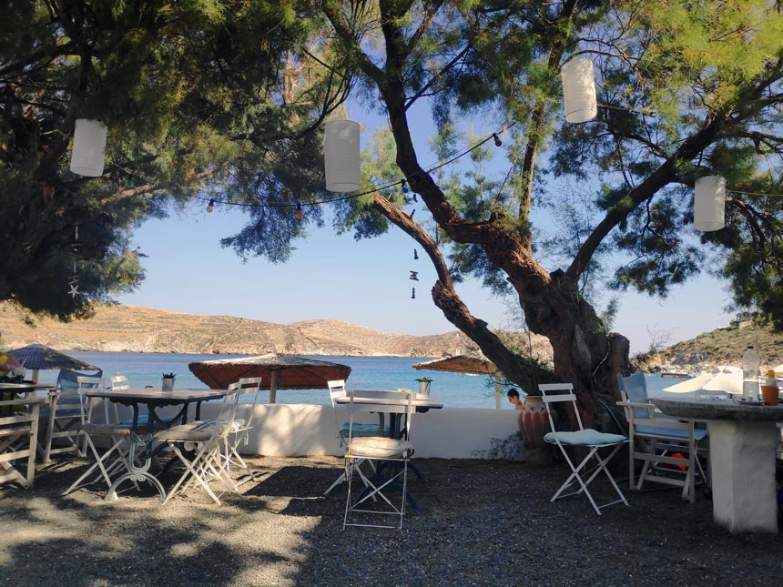 Partial view of the garden area where breakfast and snacks are served from Hotel Emily.