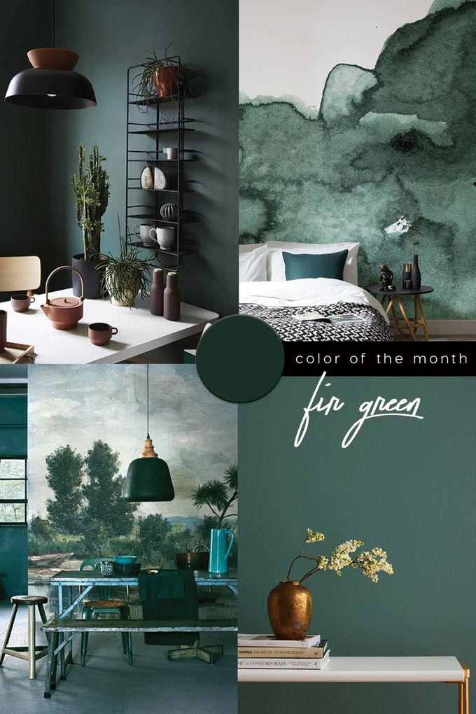 A moodboard based on fir green, one of the trending colors on the spotlight for 2020. Go green is one of design trend that is on the rise for 2020.