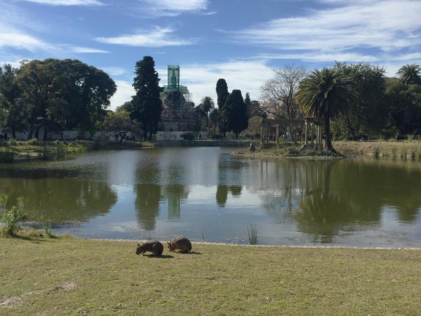 Inside the Ecopark found at Buenos Aires with a body of water.