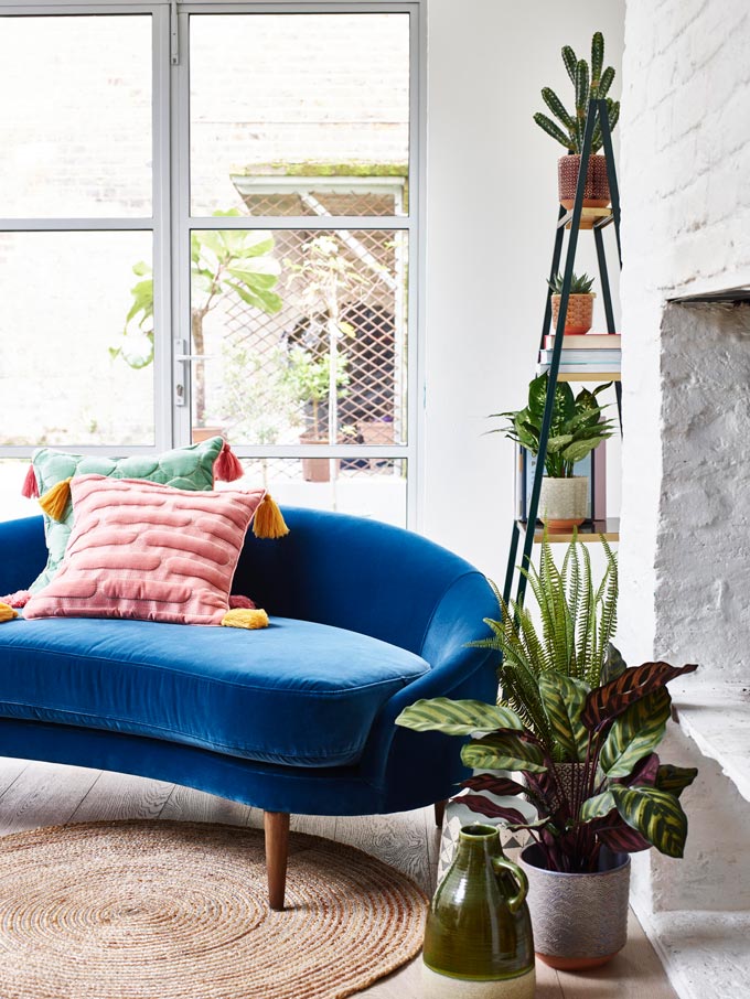 A stylish sitting room featuring a classic blue velvet sofa and plenty of plants besides it. Via Oliver Bonas. Add plants:: tips for renters!
