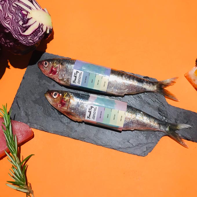 A flatlay of two fish labelled by FreshTag Limited with a smart FIT label showing their level of freshness. Via FreshTag Limited.