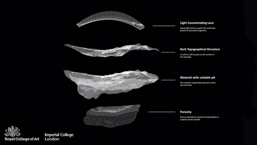 The science behind a wearable material that mimics the bark of an ash tree and can host species like moss and fungi - one of the most notable design innovations from the DDW2020. Via: © Project HABITATE.