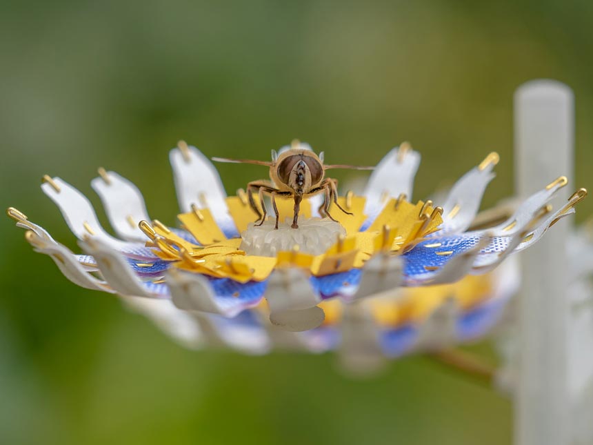 Design innovations from DDW 2020. Artificial flowers as emergency food stops that promote the insect population in urban areas. Insectology: Food for Buzz - Bee Flower. Photo credit: Janneke van der Pol.