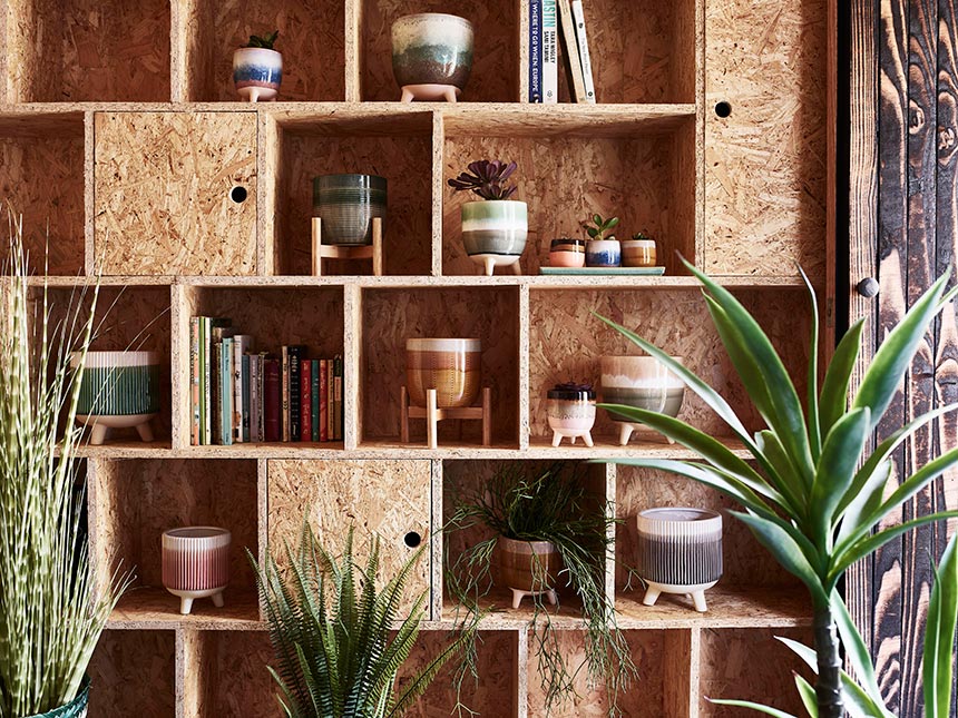A close up of bookcase styled mainly with small ceramic pot plants. Image via Oliver Bonas.