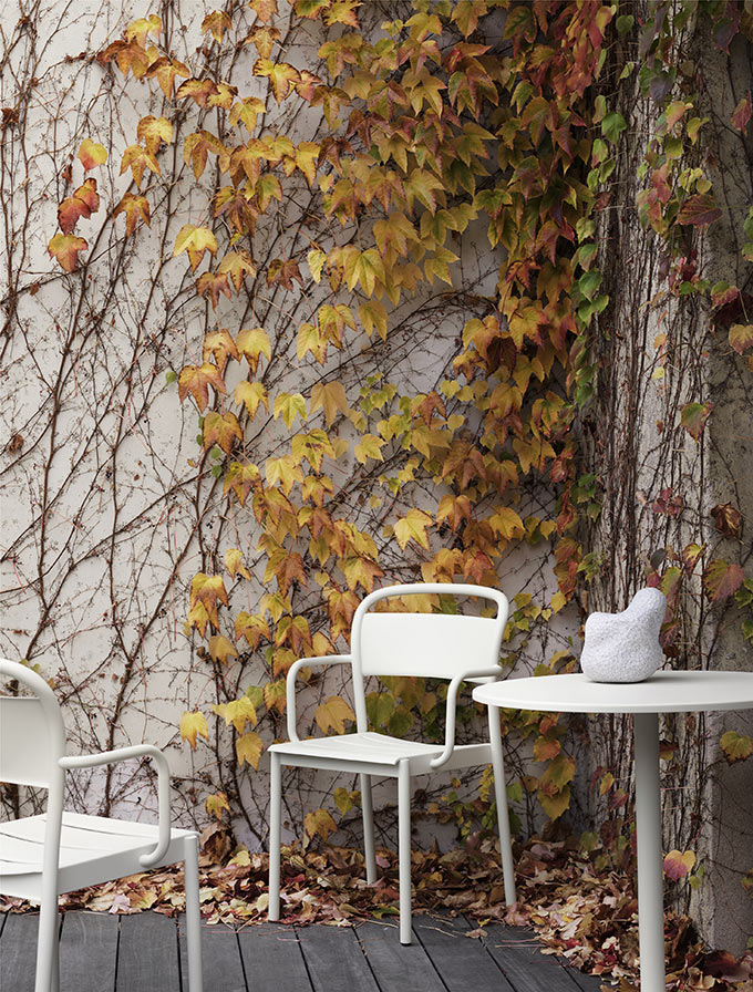 The Linear steel side armchair by Muuto placed in an outdoor corner with a growing vine behind it. Image: Muuto.
