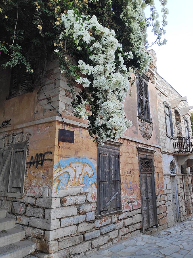 An old masonry building, almost in ruins, but adorned by a white bougainvillia.