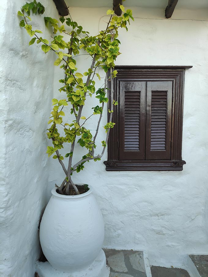 A whitewashed planter in a a corner outside a whitewashed house with a brown shutter in Ano Syros.