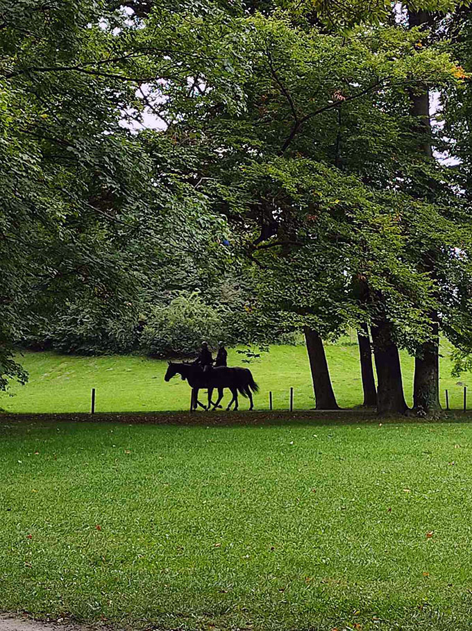 An urban park where horseback riding is one of a few outdoor activities while at the English Garden in Munich.
