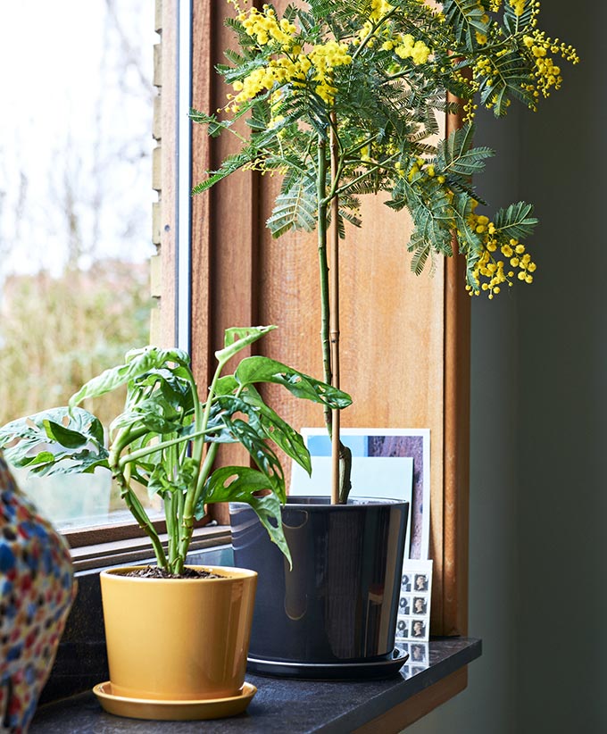 A lifestyle image of a window sill with two planters one in anthracite and the other in yellow. Both from HAY. Image: Nest.co.uk.