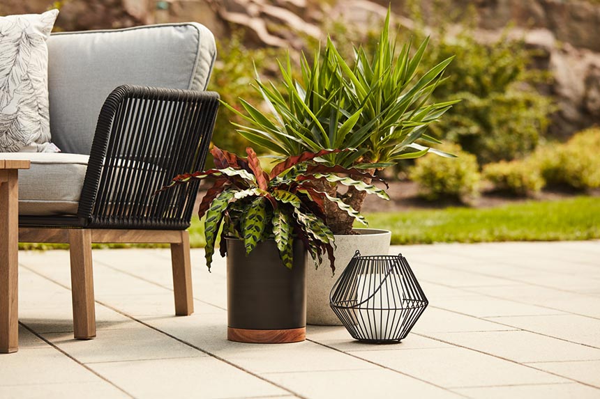 A lifestyle image of planters next to an outdoor sofa. Image: Lowe's and RONA.